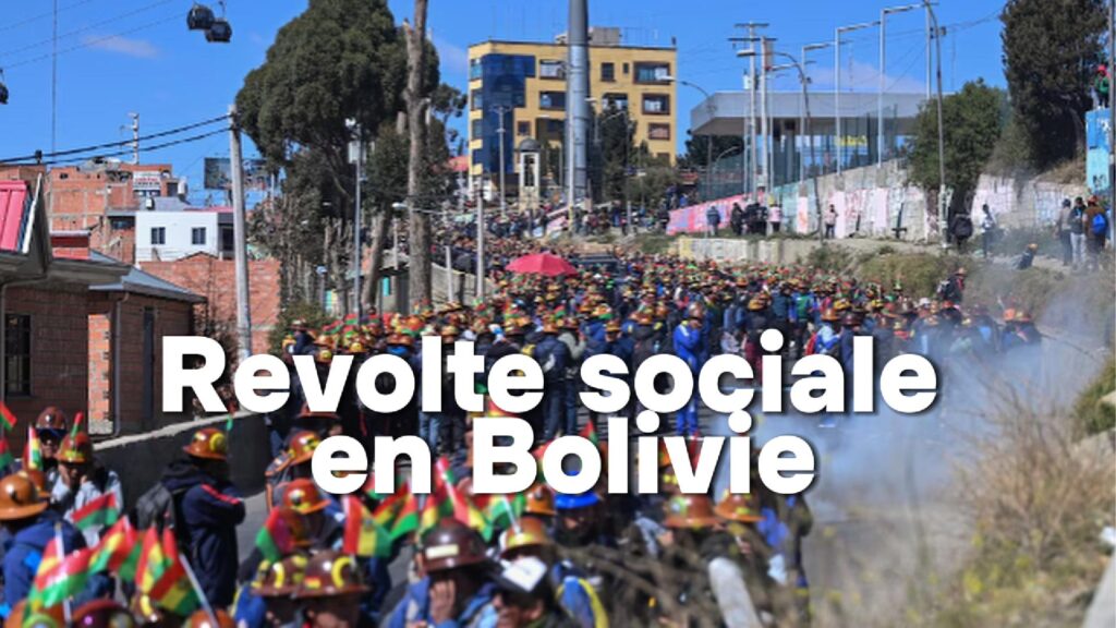 Bolivie Canela L2R